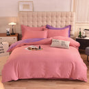 Axyaa 2024 Luxury Cotton Thickened Solid Color Four-Piece Set