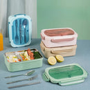 Axyaa 3-Compartment Lunch Box with Utensils, Leak-Proof & Durable Plastic Containers