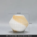 Axyaa Irregular Hydroponic Glass Vase - Creative Ins Style Home Decor