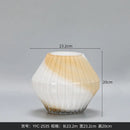 Axyaa Irregular Hydroponic Glass Vase - Creative Ins Style Home Decor