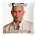 Axyaa Polyester Pillow Case for Home Decor Sofa Livingroom, Reusable Cushion Cover