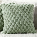 Axyaa Faux Fur Plush Pillow Cover for Sofa, Bed, Living Room