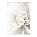 White Rose Dahlia Romantic Flower Palm Leaf Wall Art Canvas Painting Bedroom Decor Axyaa