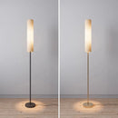 Axyaa Long Tube LED Floor Lamp for Modern Minimalist Living Room