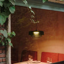 Axyaa Glass Pendant Lamp Minimalist LED Chandelier for Dining Room & Cafe