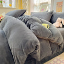 Axyaa Milk Velvet Winter Queen Duvet Cover Set, Soft & Cozy Coral Fleece Quilt