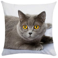 Axyaa Black Cat Bubble Pillow Cases - Premium Animal Cushion Cover for Home Decor
