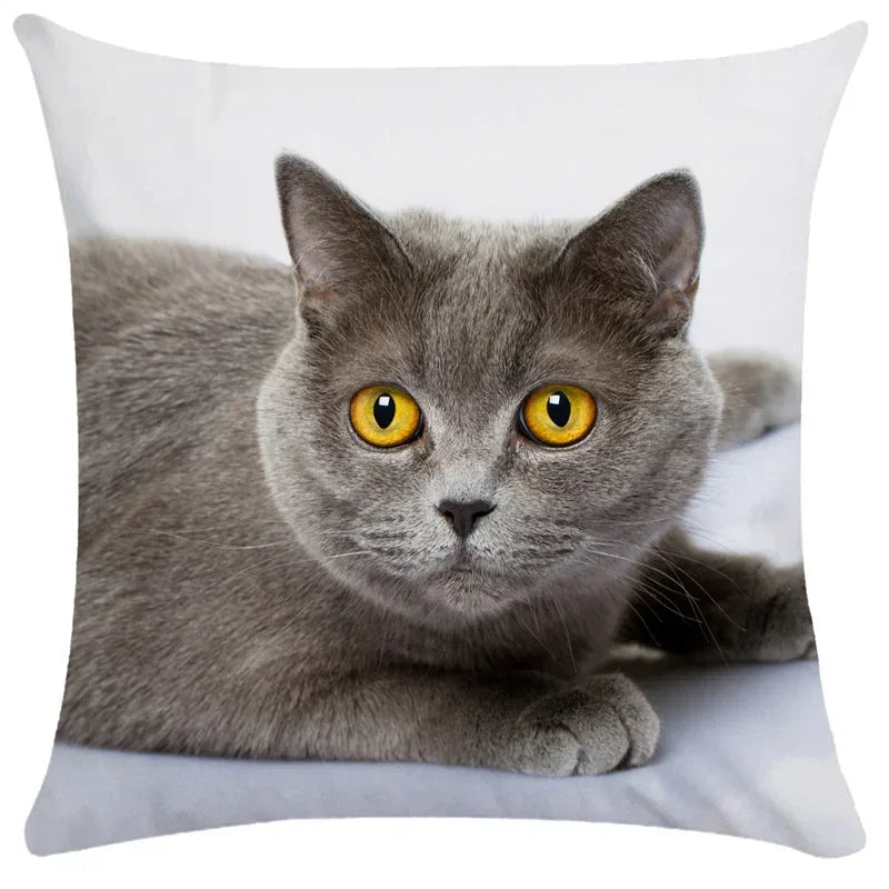 Axyaa Black Cat Bubble Pillow Cases - Premium Animal Cushion Cover for Home Decor