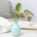 Axyaa Ceramic Mini Vase Set for Nordic Room Decor