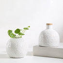 Axya Ceramic Vase Flower Aromatherapy Bottle Arts Crafts TV Cabinet Decoration
