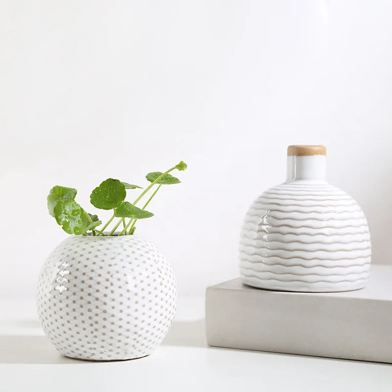 Axya Ceramic Vase Flower Aromatherapy Bottle Arts Crafts TV Cabinet Decoration