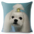 Maltese Dog Pillow Cover by Axyaa - Decorative Cushion Case for Home and Car