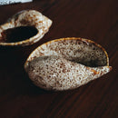 Axyaa Conch Ceramic Dinner Plate for Molecular Cuisine, Restaurant, and Sushi
