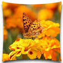 Axyaa Spider Butterfly Print Pillow Case for Home Decor