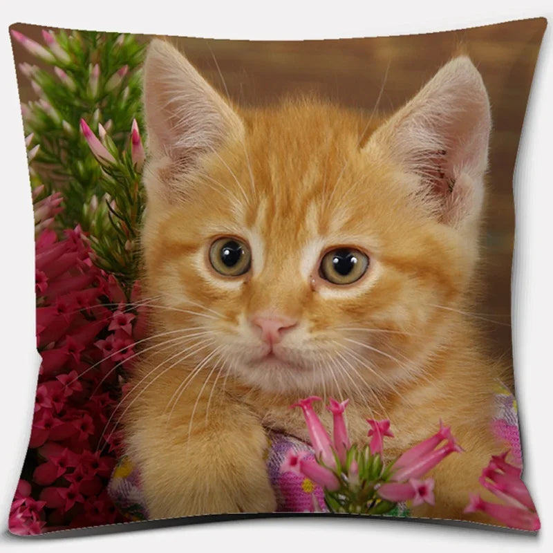 Cute Cat Series Pillowcase for Home Decor by Axyaa