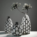 Axyaa Polka Dot Glass Vase Terrarium Hydroponics Flowerpot Home Decor
