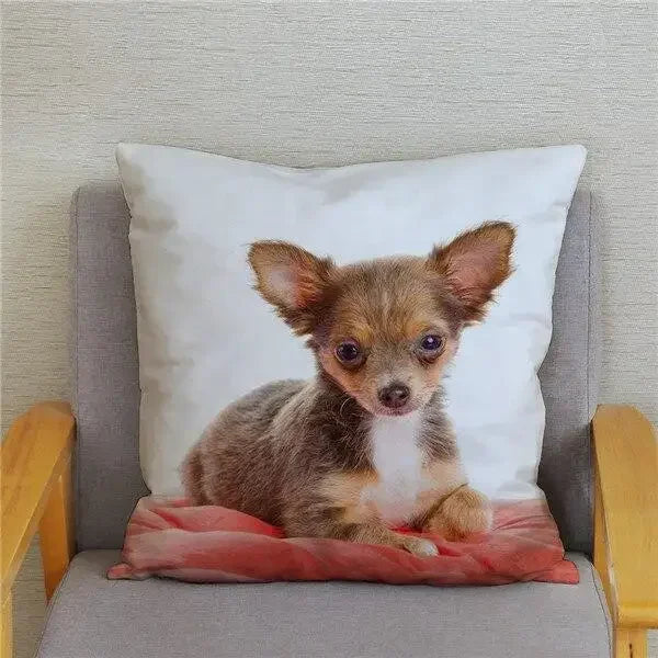 Chihuahua Dog Printed Cushion Cover by Axyaa for Home Decor