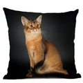 Axyaa Cat Pattern Cushion Cover 45x45cm Linen Pillowcase for Home Sofa Art Decor