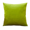 Axyaa Velvet Cushion Cover Set - Vibrant Decorative Throw Pillow Case for Living Room