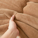 Axyaa Milk Velvet Winter Warm Bed Blanket Queen Size Soft Flannel Quilt Plush Comforter