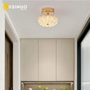 Axyaa Modern LED Gold Ceiling Light for Home Bedroom Living Room Kitchen