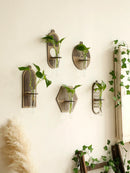 Axyaa Wood Wall Vase Green Plant Holder Home Decor Bouquet Tube Orb Decor