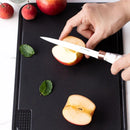 Axyaa Double-Sided Antibacterial Cutting Board, Anti-Slip Plastic, Fruit Sticky Board