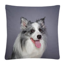 Axyaa Cute Dog Photo Polyester Cushion Cover for Home Sofa Car