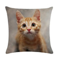 Axyaa Cat Printed Cotton Linen Cushion Cover 45x45cm