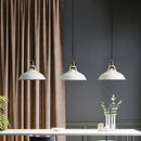 Axyaa Modern Nordic Loft Vintage Chandelier LED Pendant Light