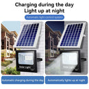 Axyaa Solar LED Floodlight: Waterproof Garden Spotlight with Solar Panel