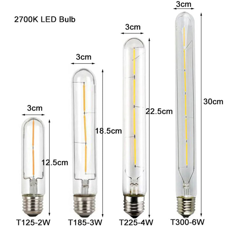 Axyaa 6000K LED Tubular Edison Bulbs T10 T185 T225 T30 T300 4W 6W 8W LED Bulb