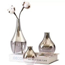 Axyaa Silver Gradient Glass Vase: Creative Terrarium & Jewelry Holder