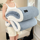 Axyaa Milk Velvet Queen Size Bed Blanket for Warmth & Comfort