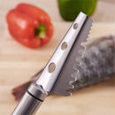 Axya Stainless Steel Fish Scraper Skinner Descale Brush - Fishing Kitchen Tool