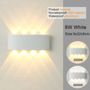 Axyaa LED Wall Sconces - Modern Indoor Outdoor Up Down Lights for Living Room & Bedroom