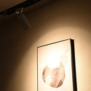 Axyaa LED Spotlight Ceiling Light for Modern Living Spaces