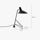 Axyaa Nordic LED Floor Lamps - Decorative Metal Table Lights for Living Room