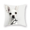 Axyaa Cute Dog Pillowcase | Cartoon Animal Square Cushion for Girls Room