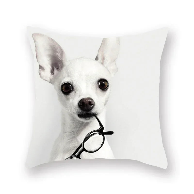 Axyaa Cute Dog Pillowcase | Cartoon Animal Square Cushion for Girls Room