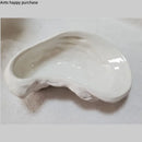 Axya Irregular Ceramic Oyster Plate Set for Dining and Décor
