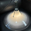 Axyaa Magnolia Glass Pendant Light - Modern LED Bedroom Dining Lamp