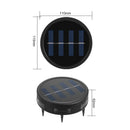 Axyaa Solar LED Buried Light for Outdoor Garden Pathway Decoration