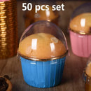 Axya Golden Cupcake Liners - 50 Pack