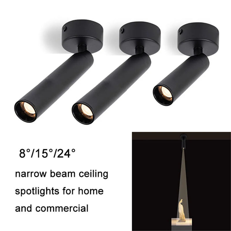 Axyaa 3W/5W Narrow Beam Ceiling Spotlights: Ideal for Jewelry, Museum, Gallery & Picture Lighting