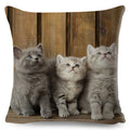 Axyaa British Shorthair Russian Blue Cat Cushion Cover - Cute Pet Animal Pillowcase