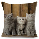 Axyaa British Shorthair Russian Blue Cat Cushion Cover - Cute Pet Animal Pillowcase