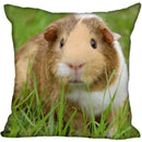Axyaa Hamster Pattern Pillowcase Set for Home Decor 45*45cm