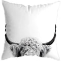Axyaa Highland Cat Cow Yak Animal Pillowcase for Stylish Home Decor
