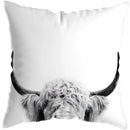 Axyaa Highland Cat Cow Yak Animal Pillowcase for Stylish Home Decor